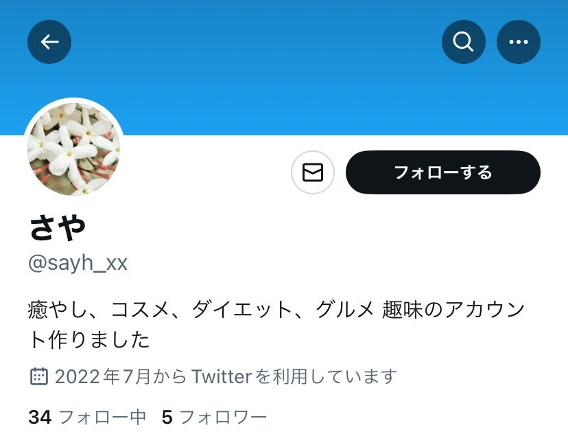 Twitter(X)日本人フォロワー増加サポート